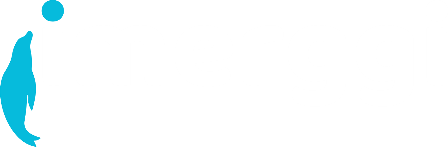 Imerggi